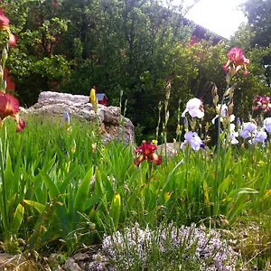 https://maison-rouge-plan-daups.fr-provencehotel.com